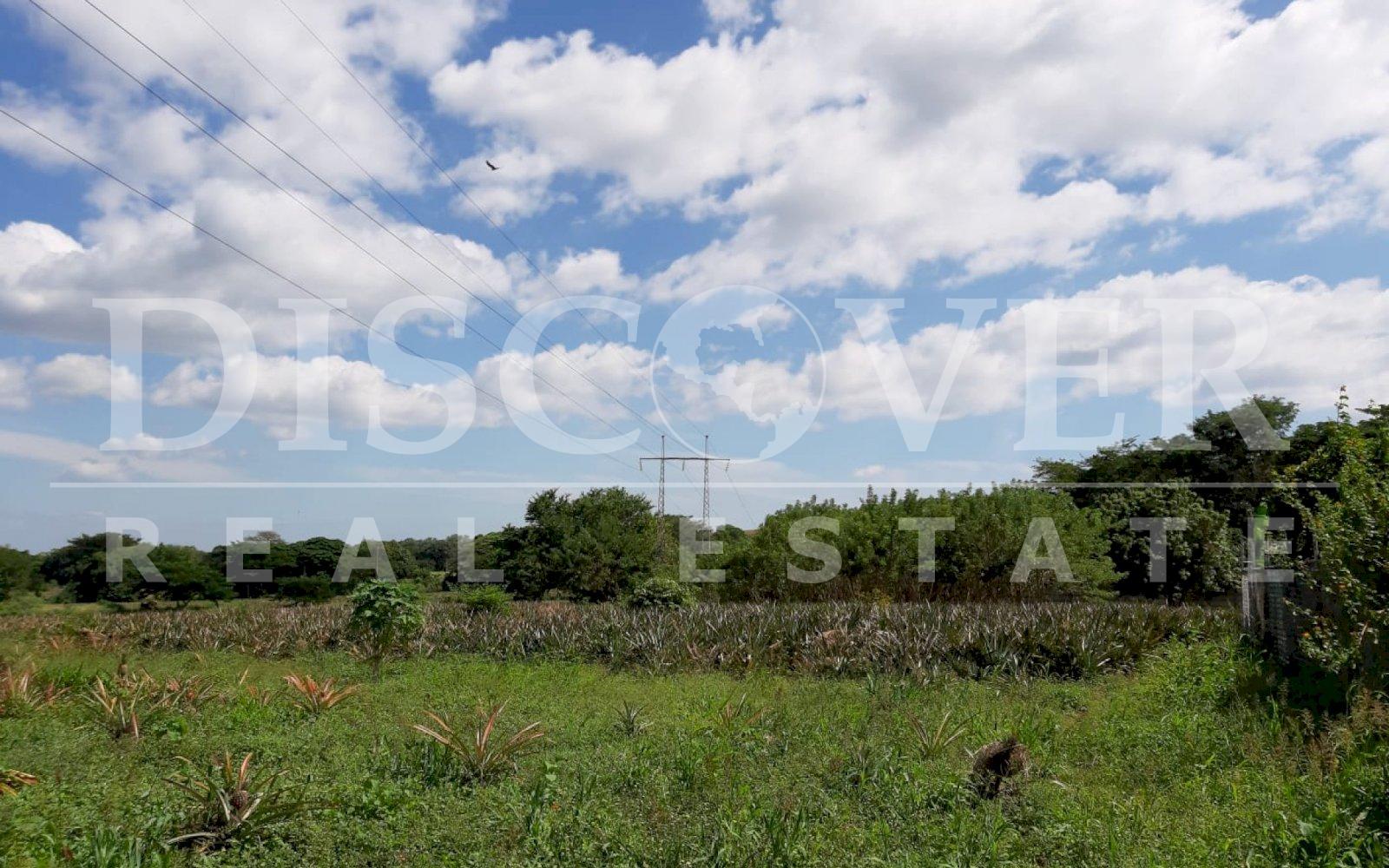 Terreno En Venta De Manzanas A La Orilla De Carretera A Masaya Id