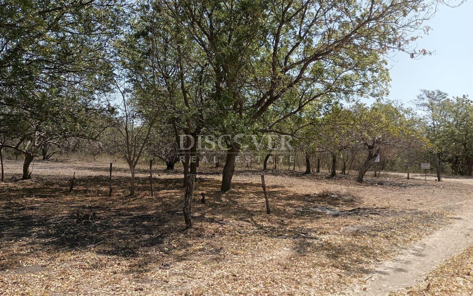  Beachfront land for sale in La Boquita