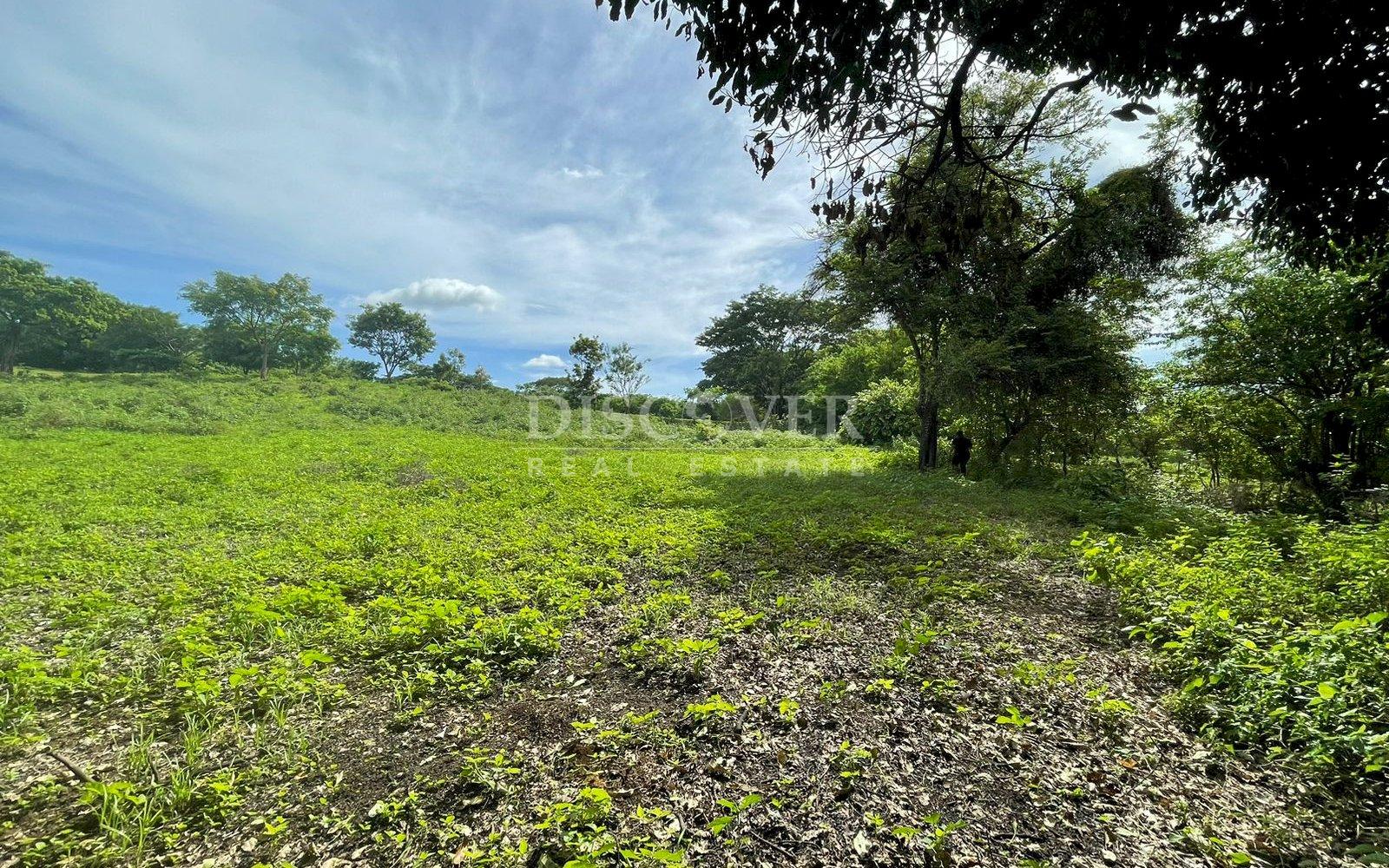 Imagen 1 de la galería