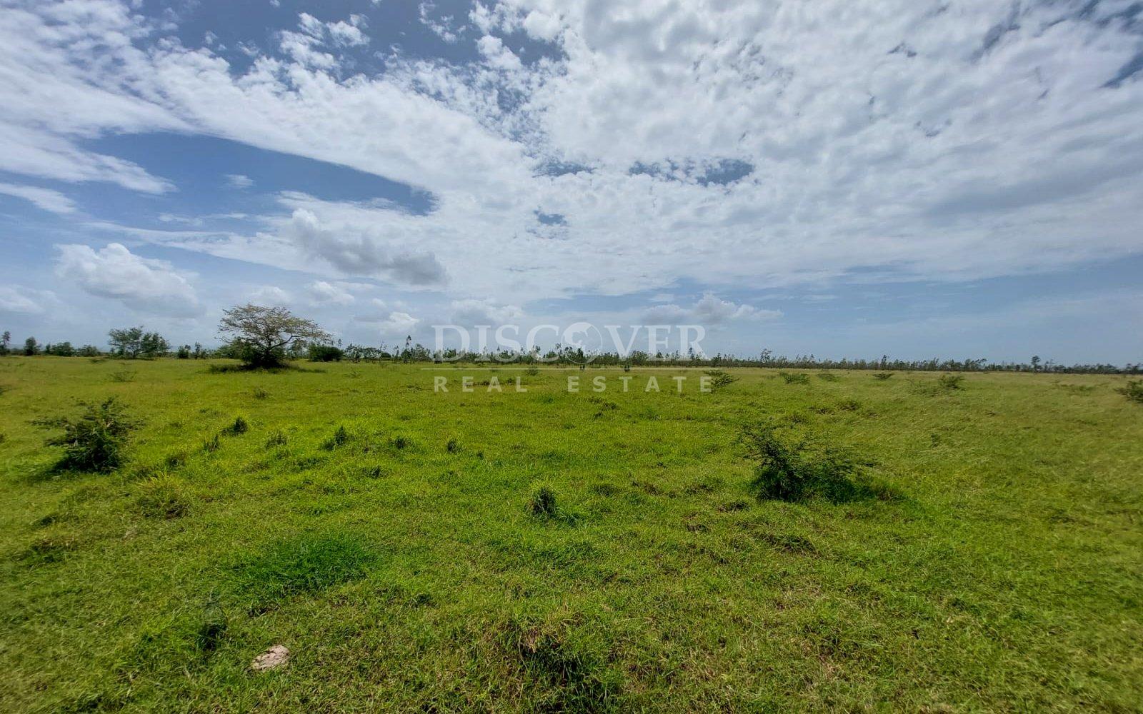 https://images.discovernica.com/propiedad/1600/1.jpg