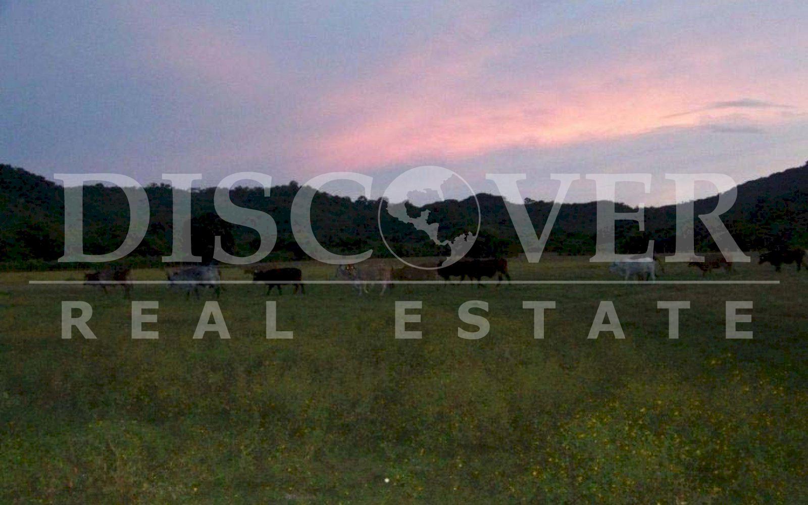 https://images.discovernica.com/propiedad/1600/100_1266_1.jpg