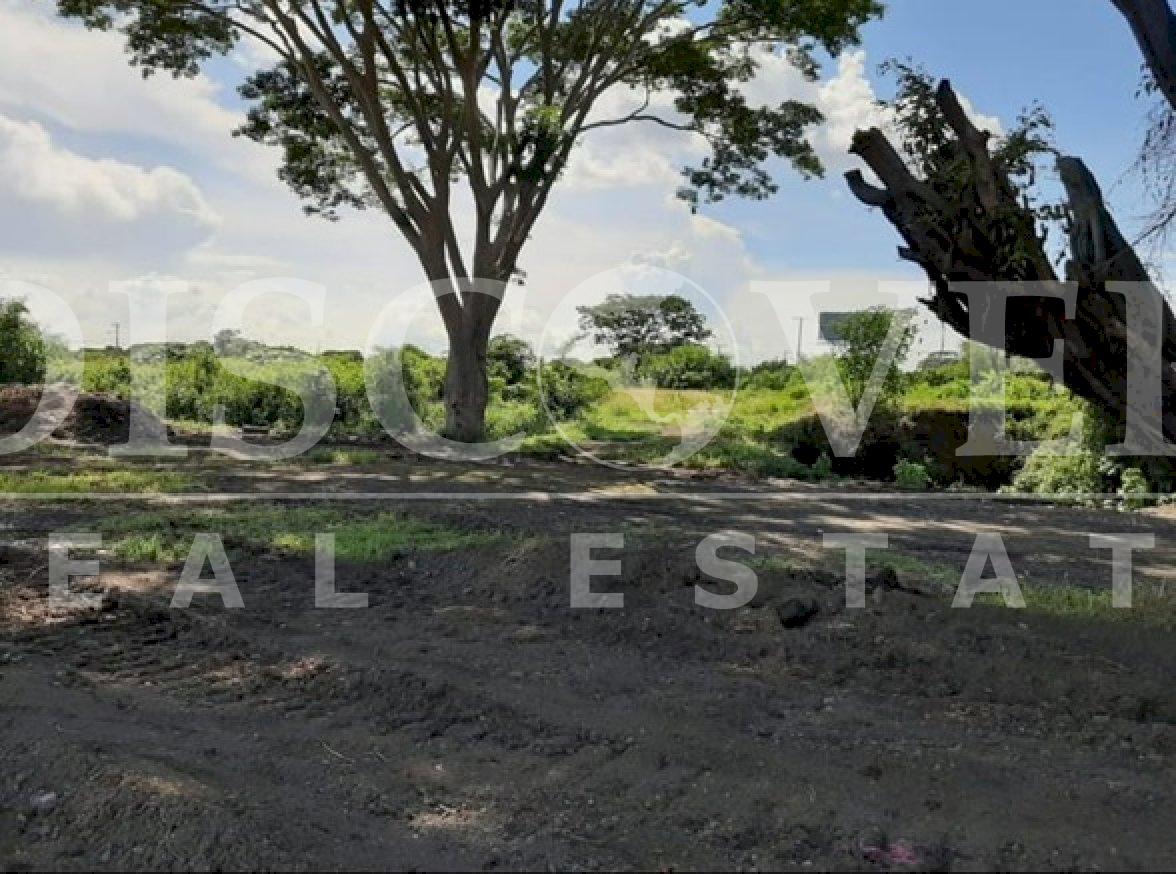 https://images.discovernica.com/propiedad/1600/1048a902_ef98_488b_9ca3_3dda313a8470.JPG