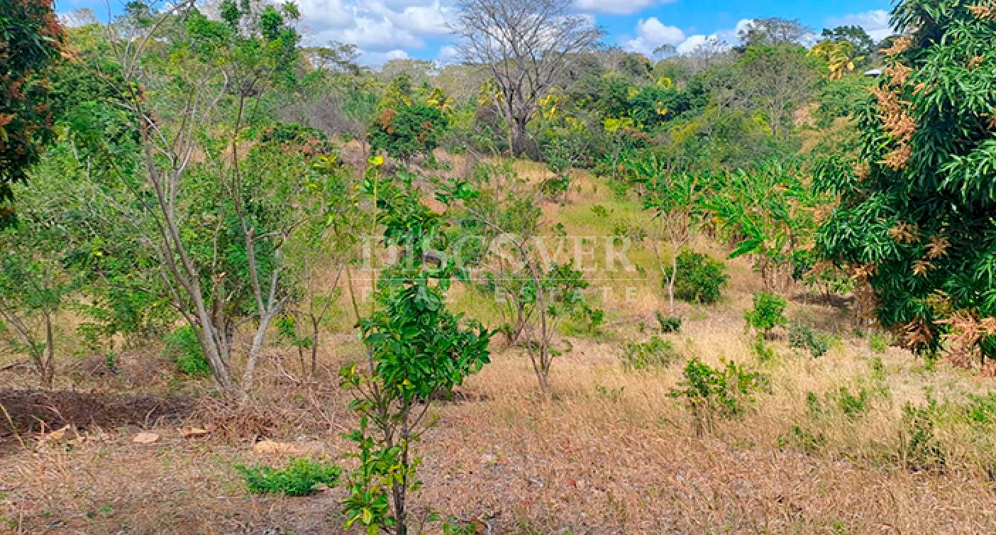  Agricultural property for sale in Niquinohomo - Masaya