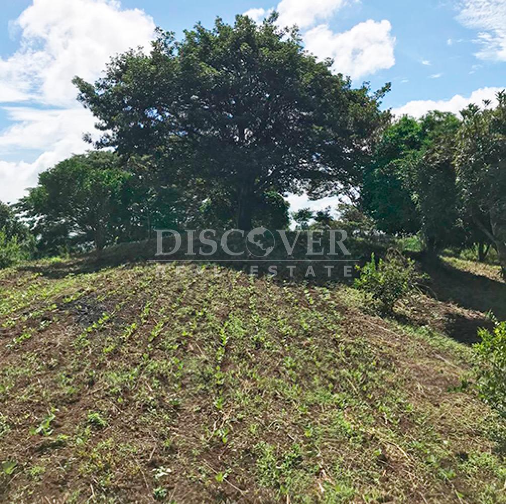  Agricultural property for sale in Niquinohomo - Masaya
