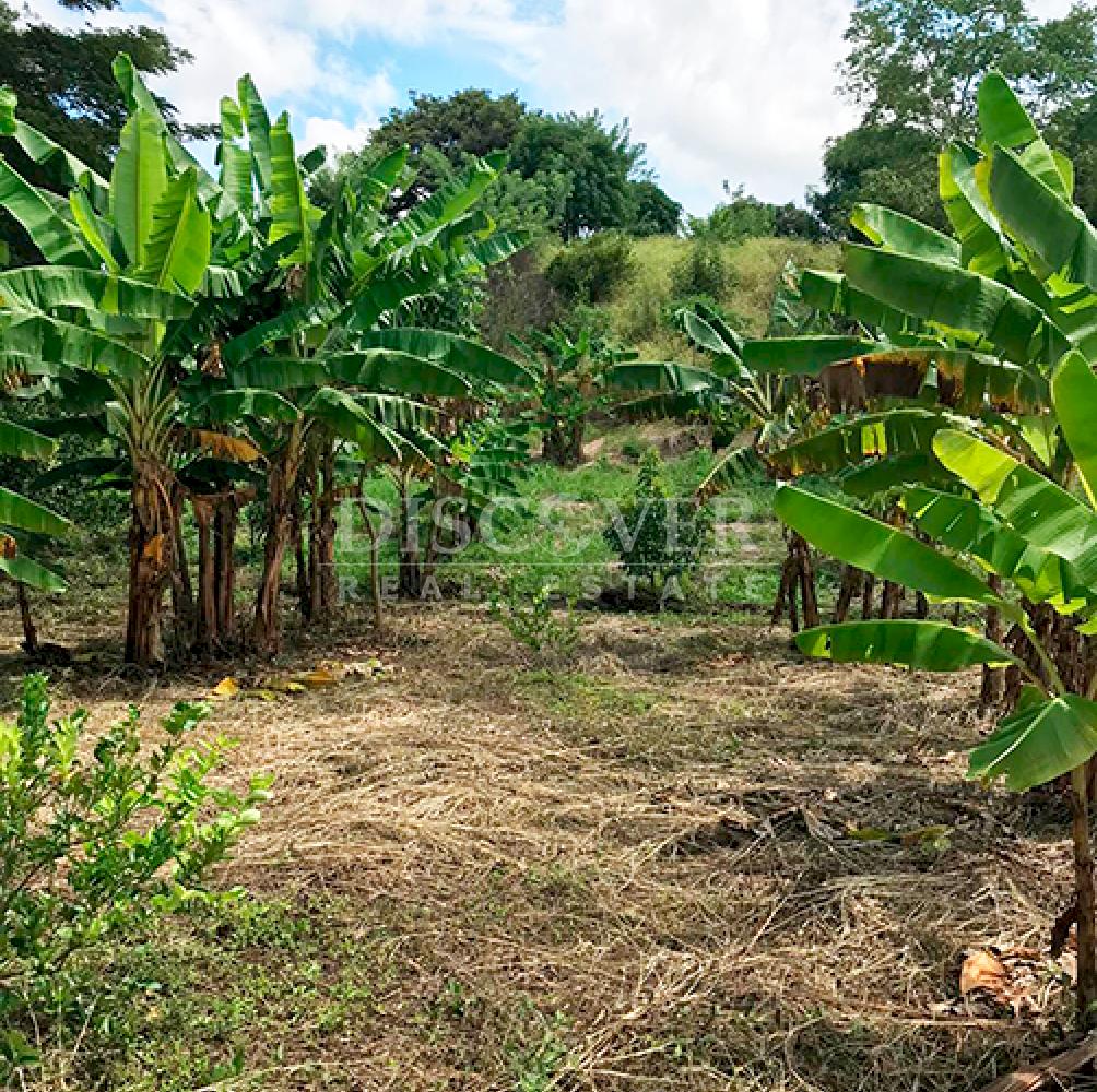  Agricultural property for sale in Niquinohomo - Masaya