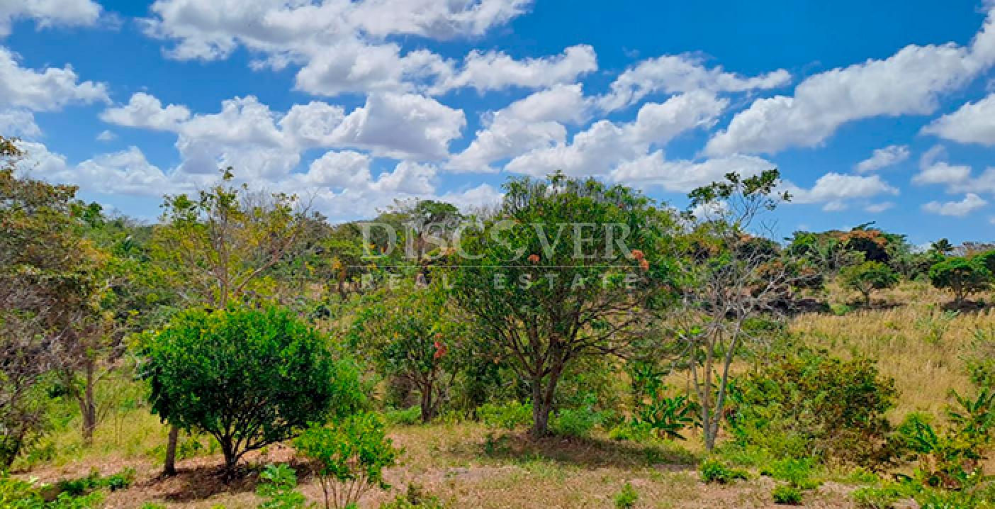  Agricultural property for sale in Niquinohomo - Masaya