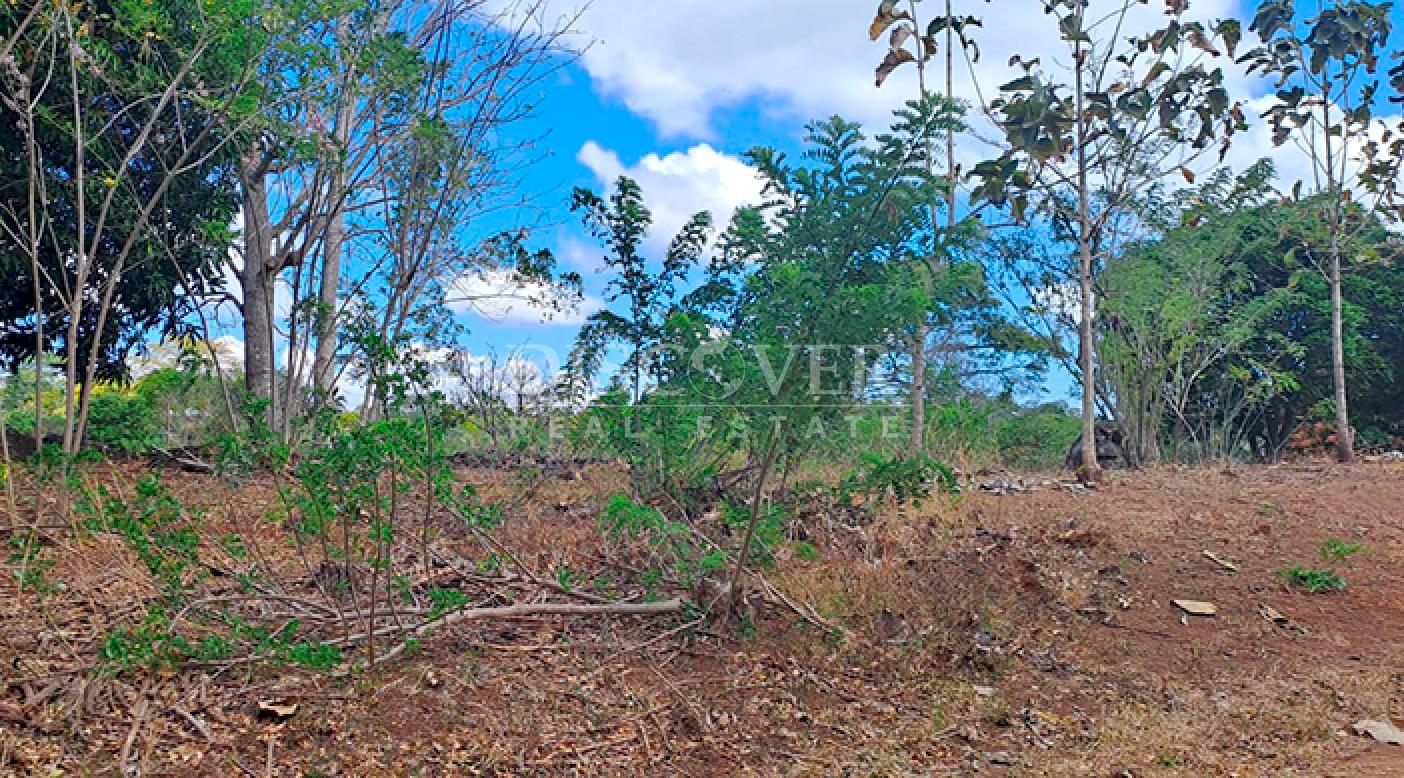  Agricultural property for sale in Niquinohomo - Masaya