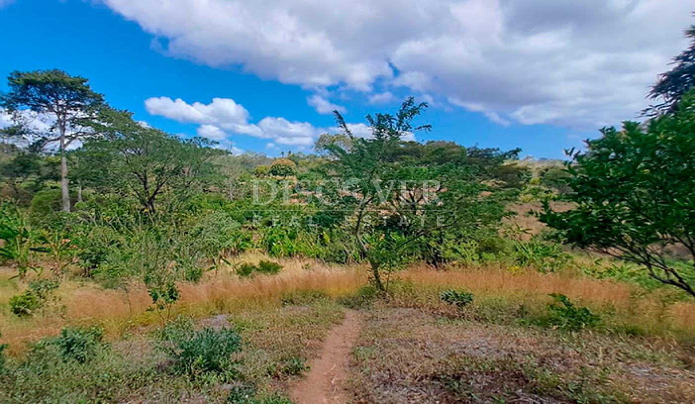  Agricultural property for sale in Niquinohomo - Masaya