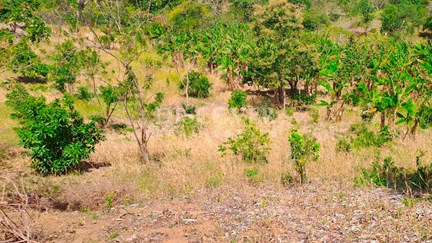  Agricultural property for sale in Niquinohomo - Masaya