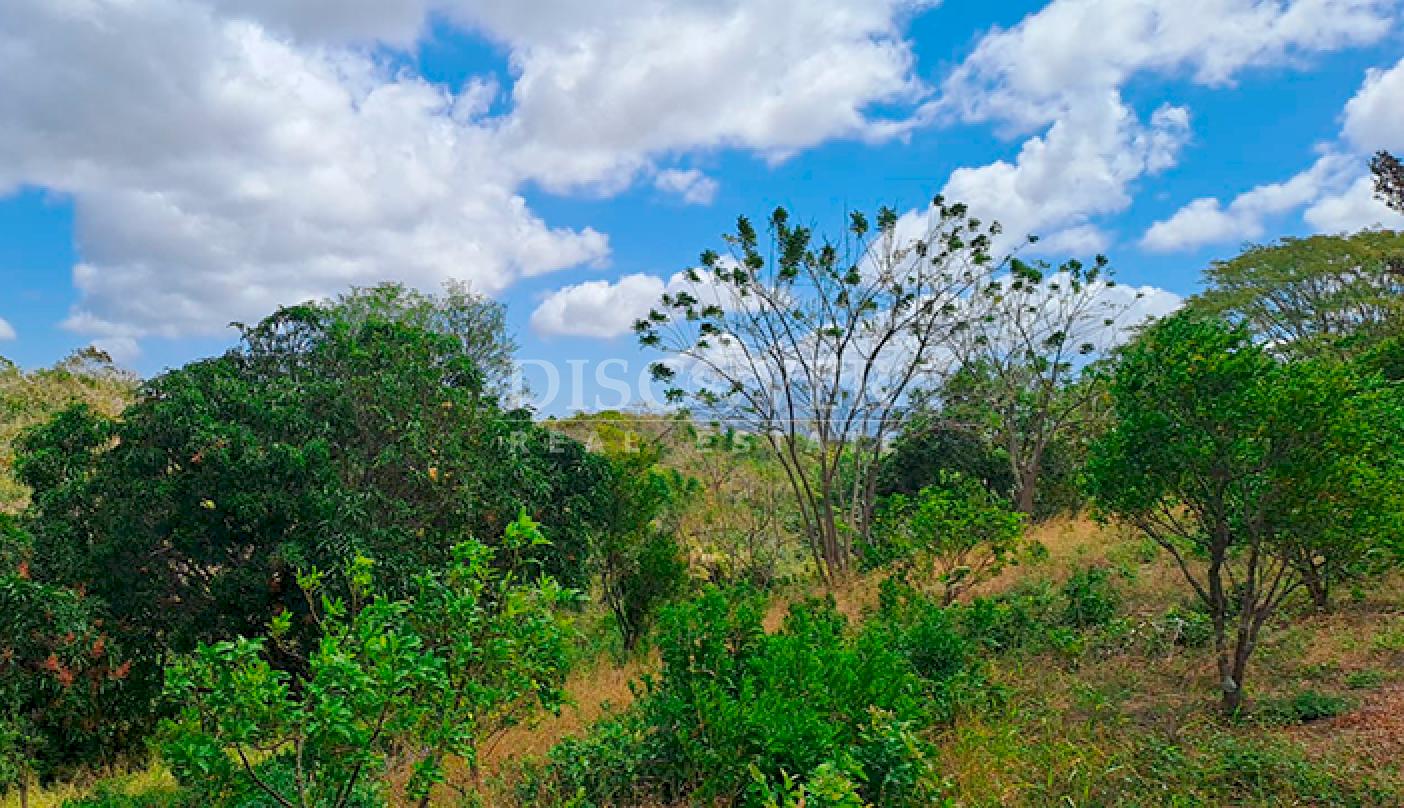  Agricultural property for sale in Niquinohomo - Masaya