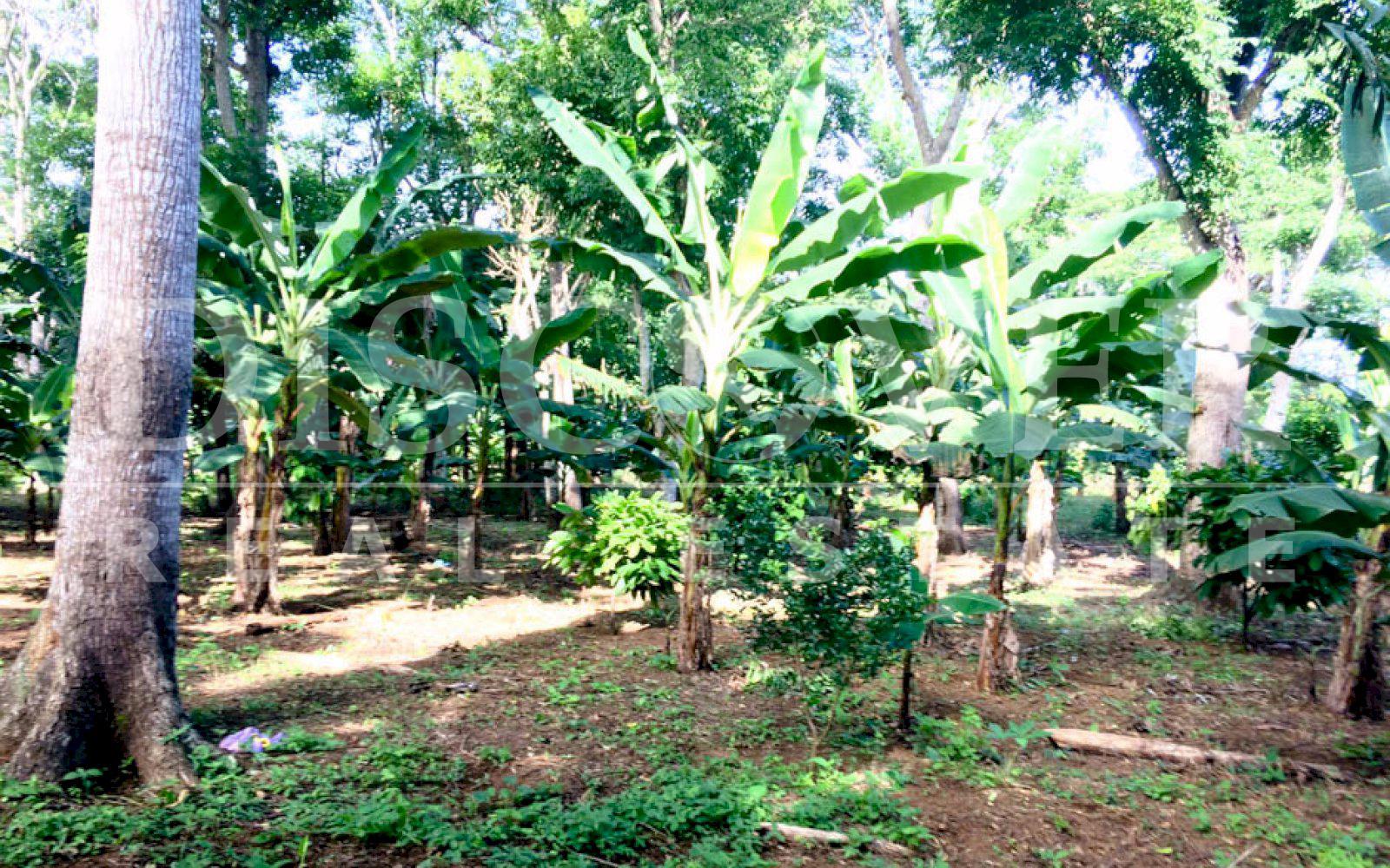 https://images.discovernica.com/propiedad/1600/11137cinco.jpg