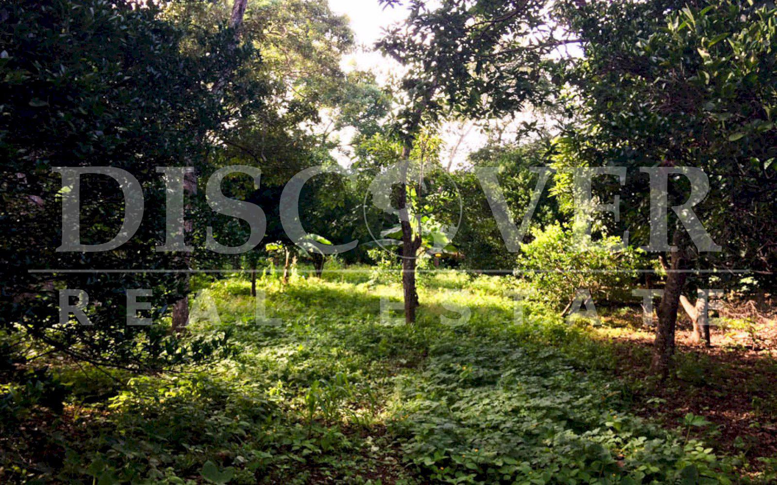 https://images.discovernica.com/propiedad/1600/11137tres.jpg