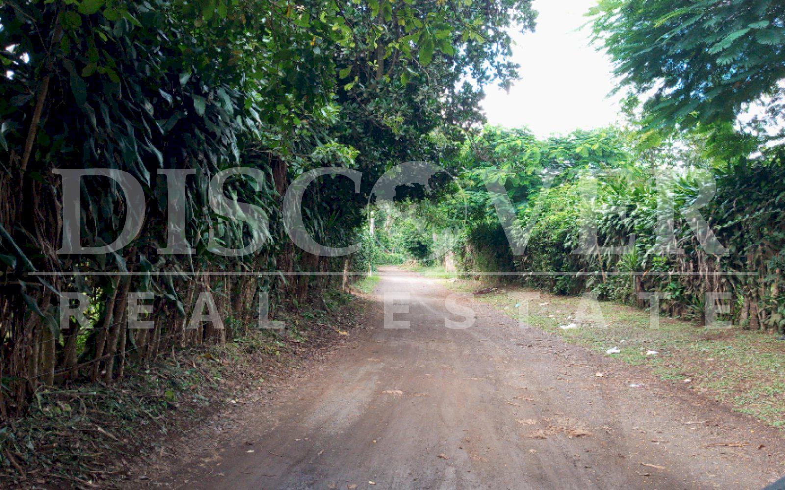 Imagen 4 de la galería