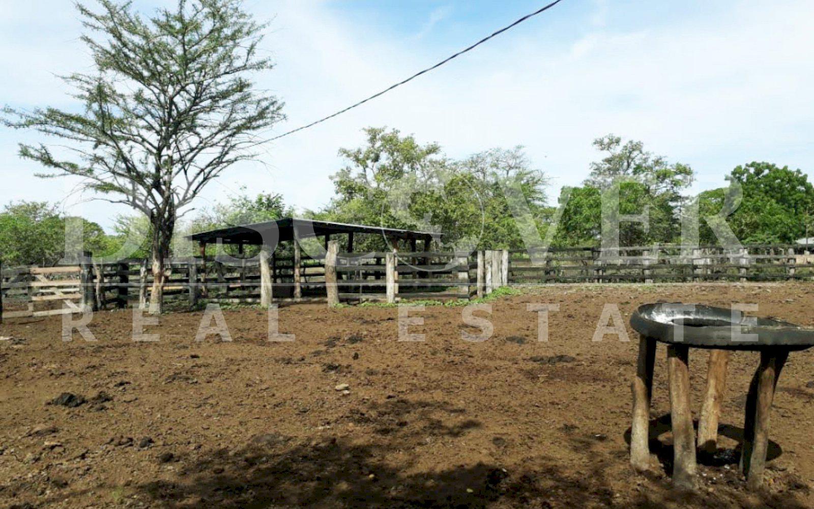 https://images.discovernica.com/propiedad/1600/1245113.JPG