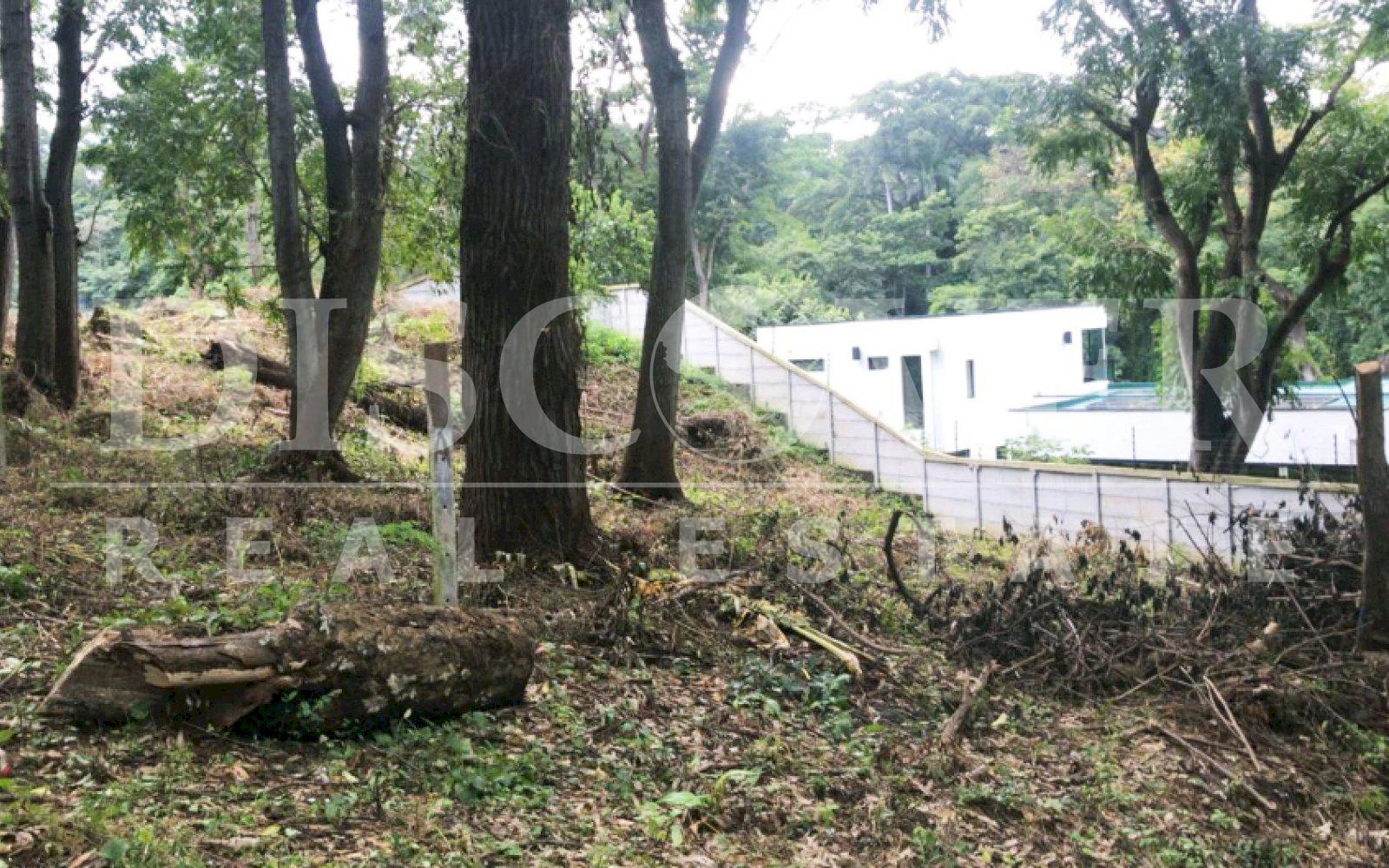  Land for Sale on Carretera Sur