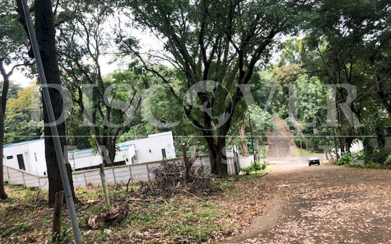  Land for Sale on Carretera Sur