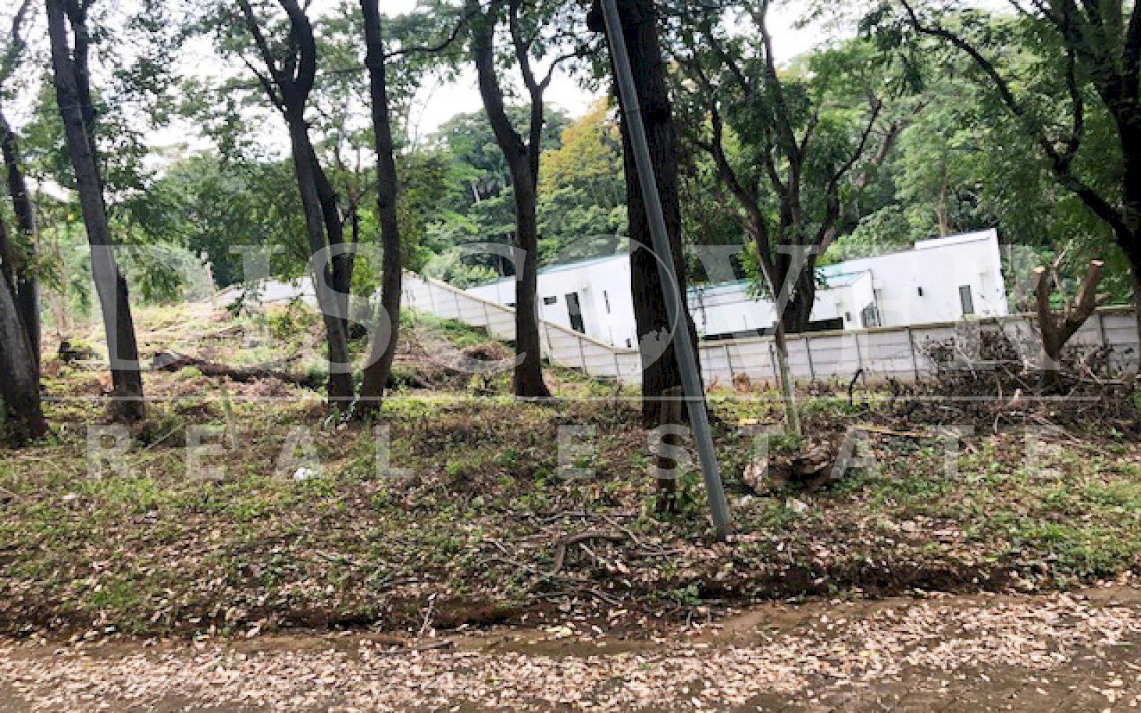  Land for Sale on Carretera Sur