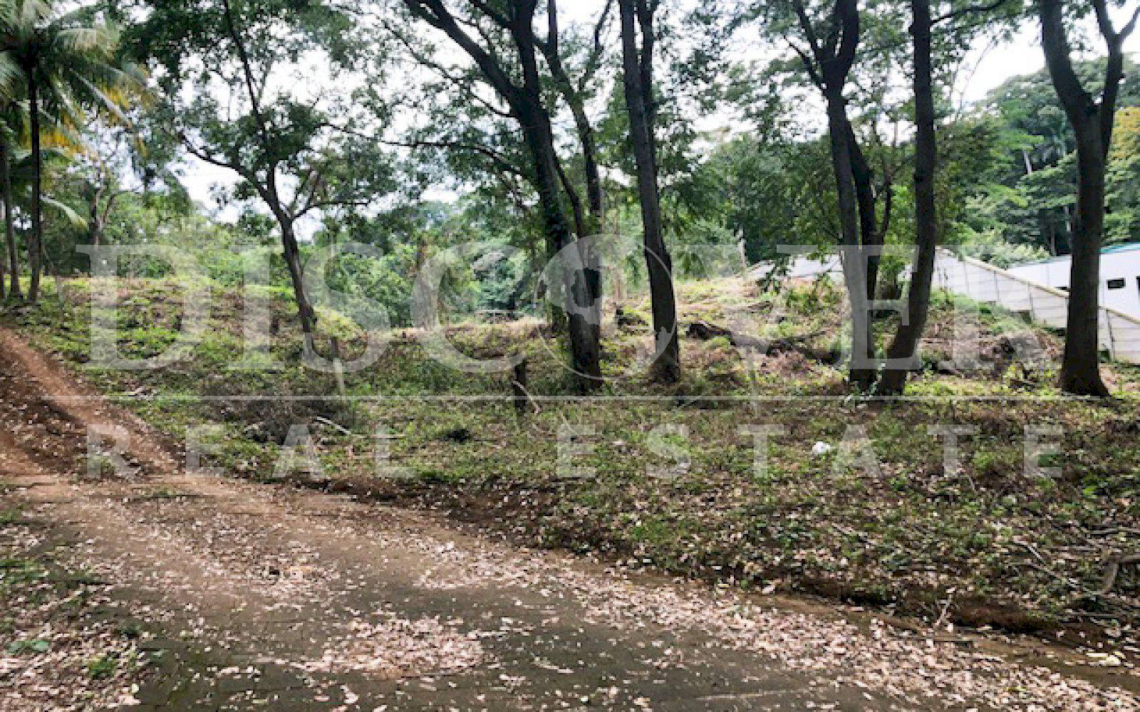  Land for Sale on Carretera Sur