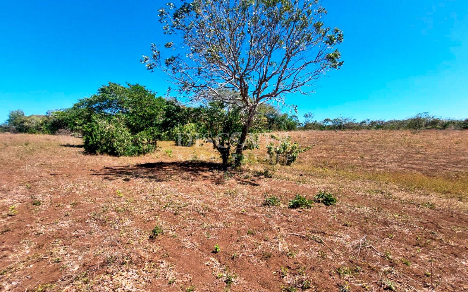 https://images.discovernica.com/propiedad/1600/12487_WEB_12.jpg