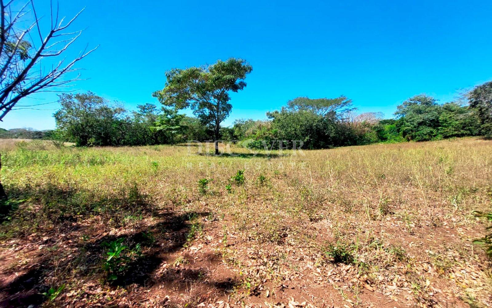 https://images.discovernica.com/propiedad/1600/12487_WEB_13.jpg