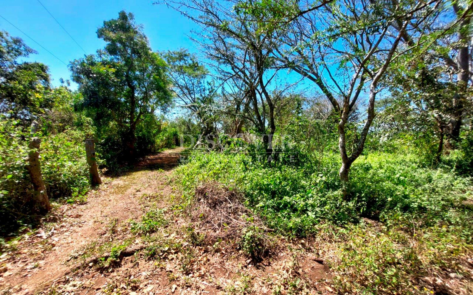 https://images.discovernica.com/propiedad/1600/12487_WEB_3.jpg