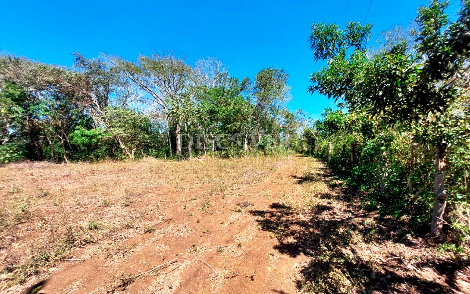 https://images.discovernica.com/propiedad/1600/12487_WEB_6.jpg