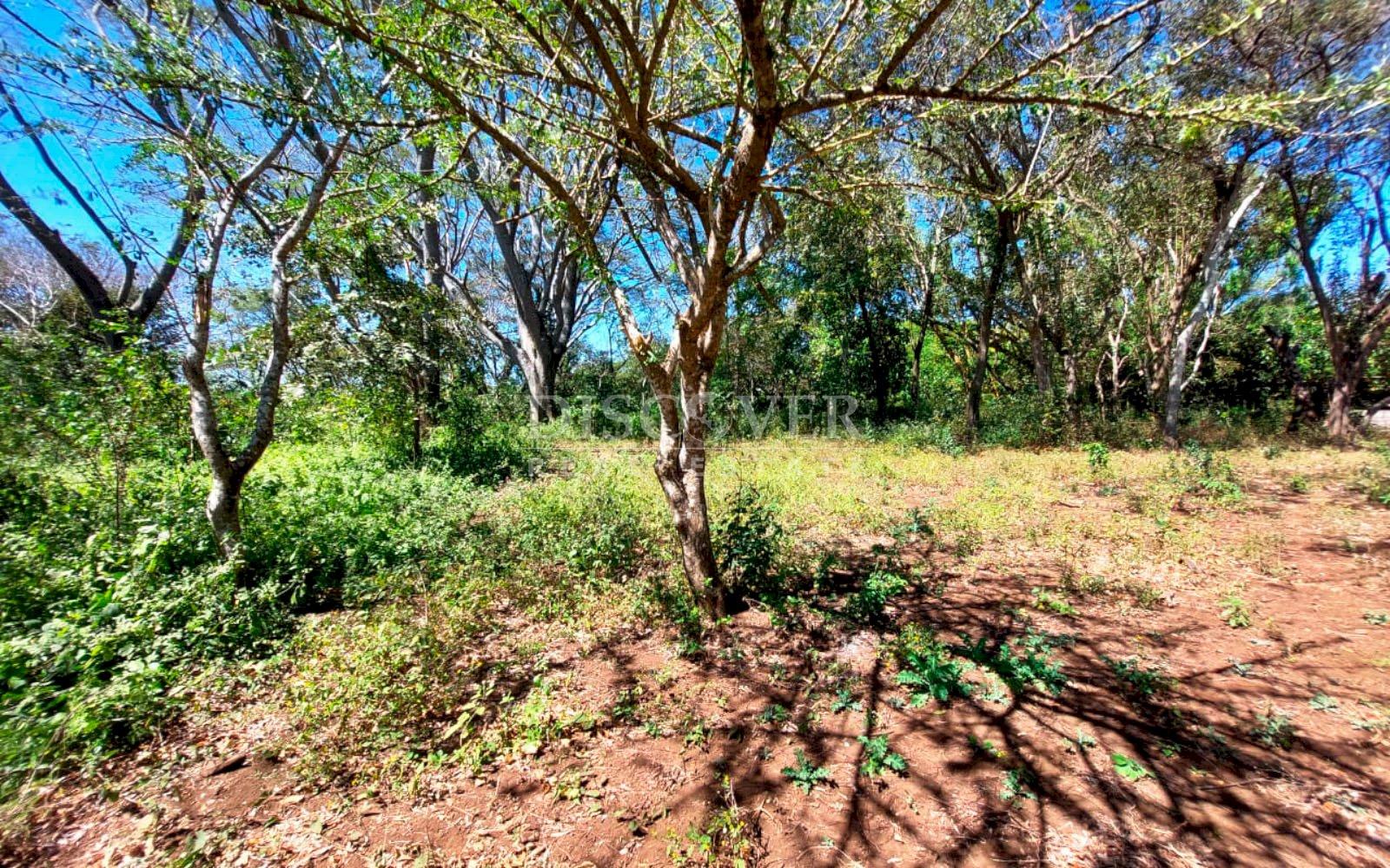 https://images.discovernica.com/propiedad/1600/12487_WEB_7.jpg