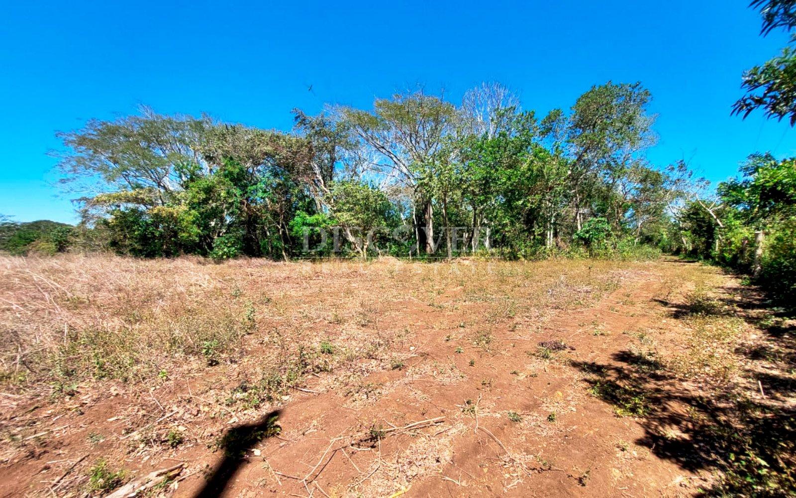 https://images.discovernica.com/propiedad/1600/12487_WEB_9.jpg