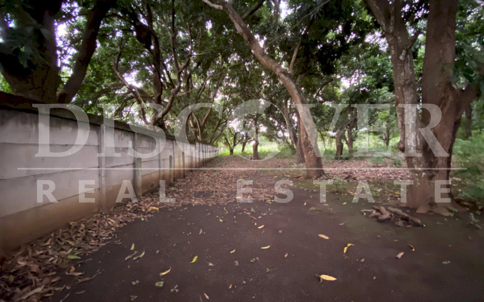  Flat Land for Sale in Masaya Highway ID 12496