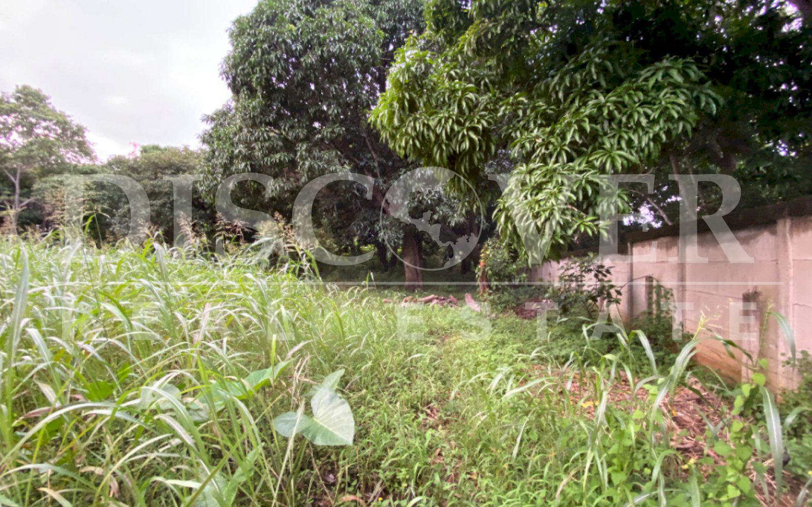  Flat Land for Sale in Masaya Highway ID 12496