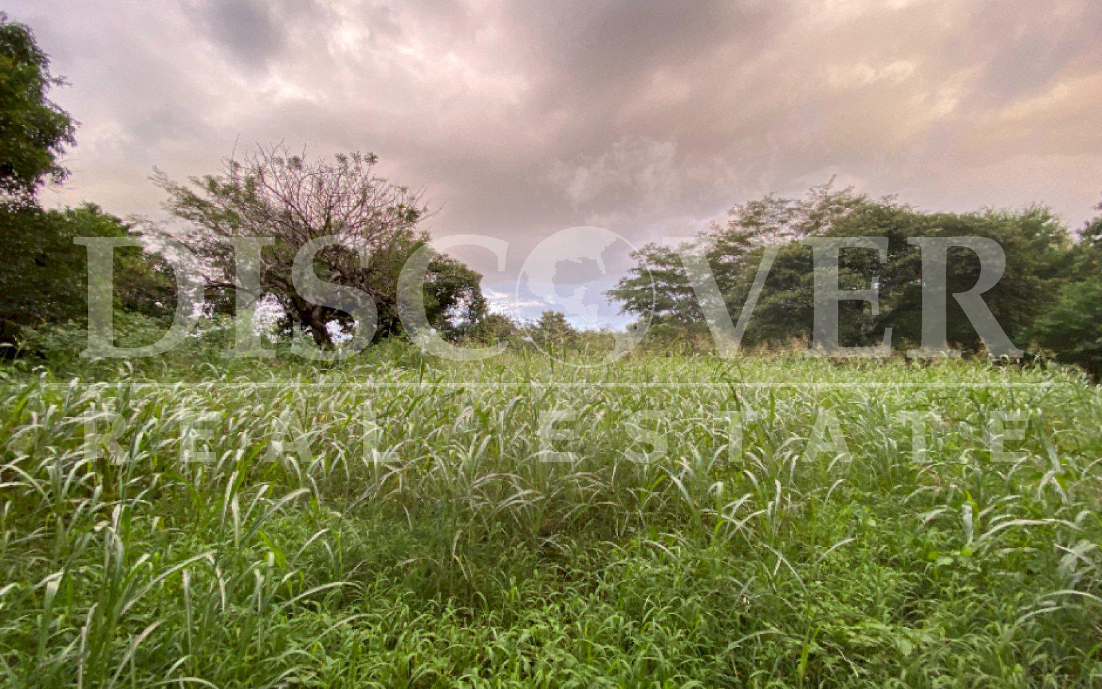  Flat Land for Sale in Masaya Highway ID 12496