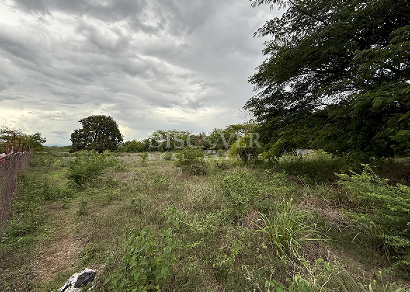 Imagen 5 de la galería