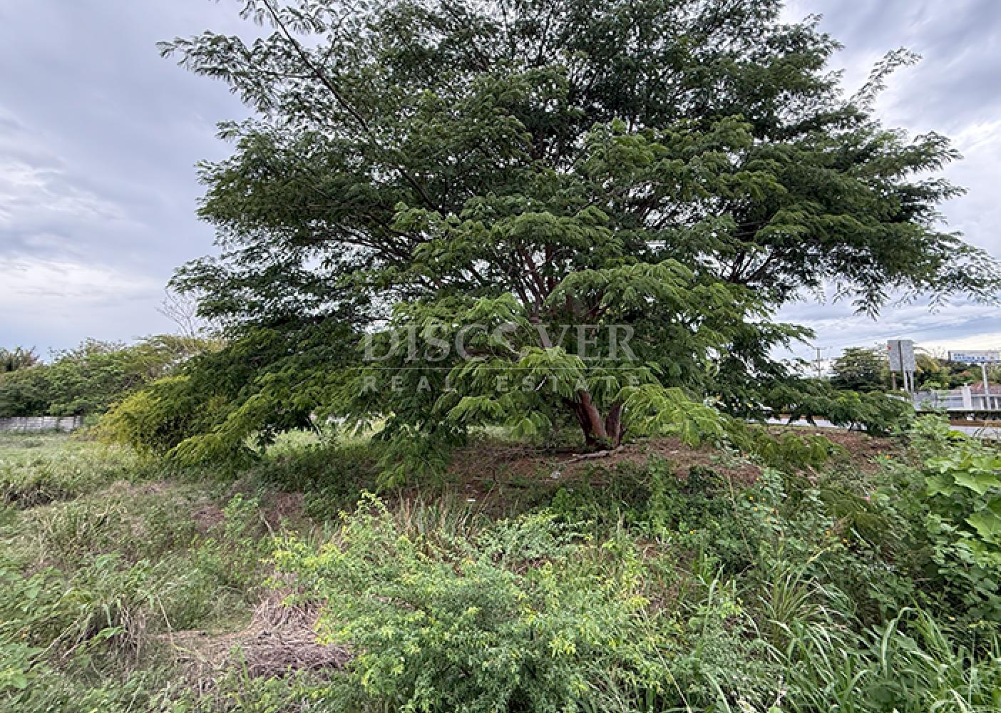 Imagen 4 de la galería