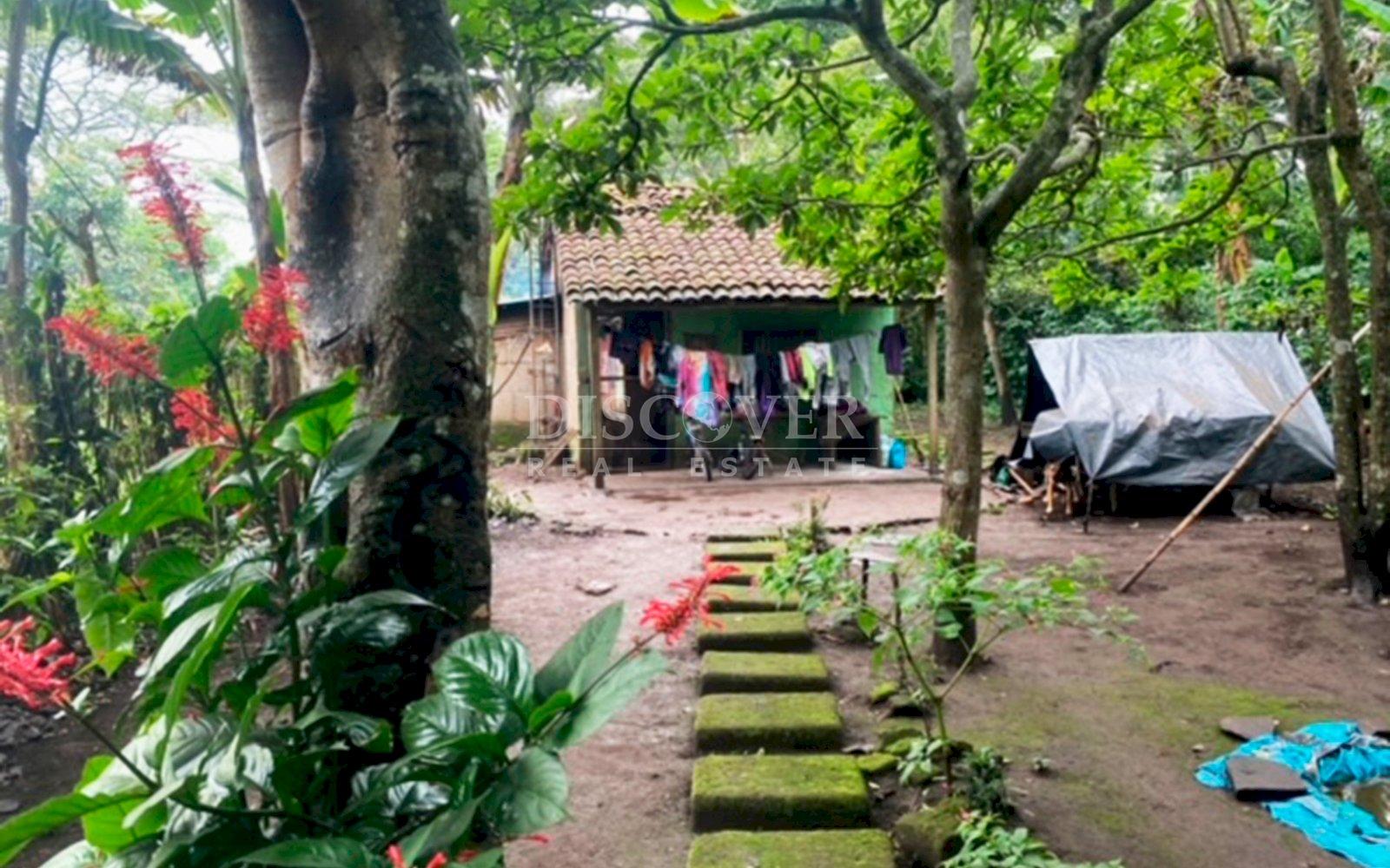 https://images.discovernica.com/propiedad/1600/13044_WEB_4.jpg