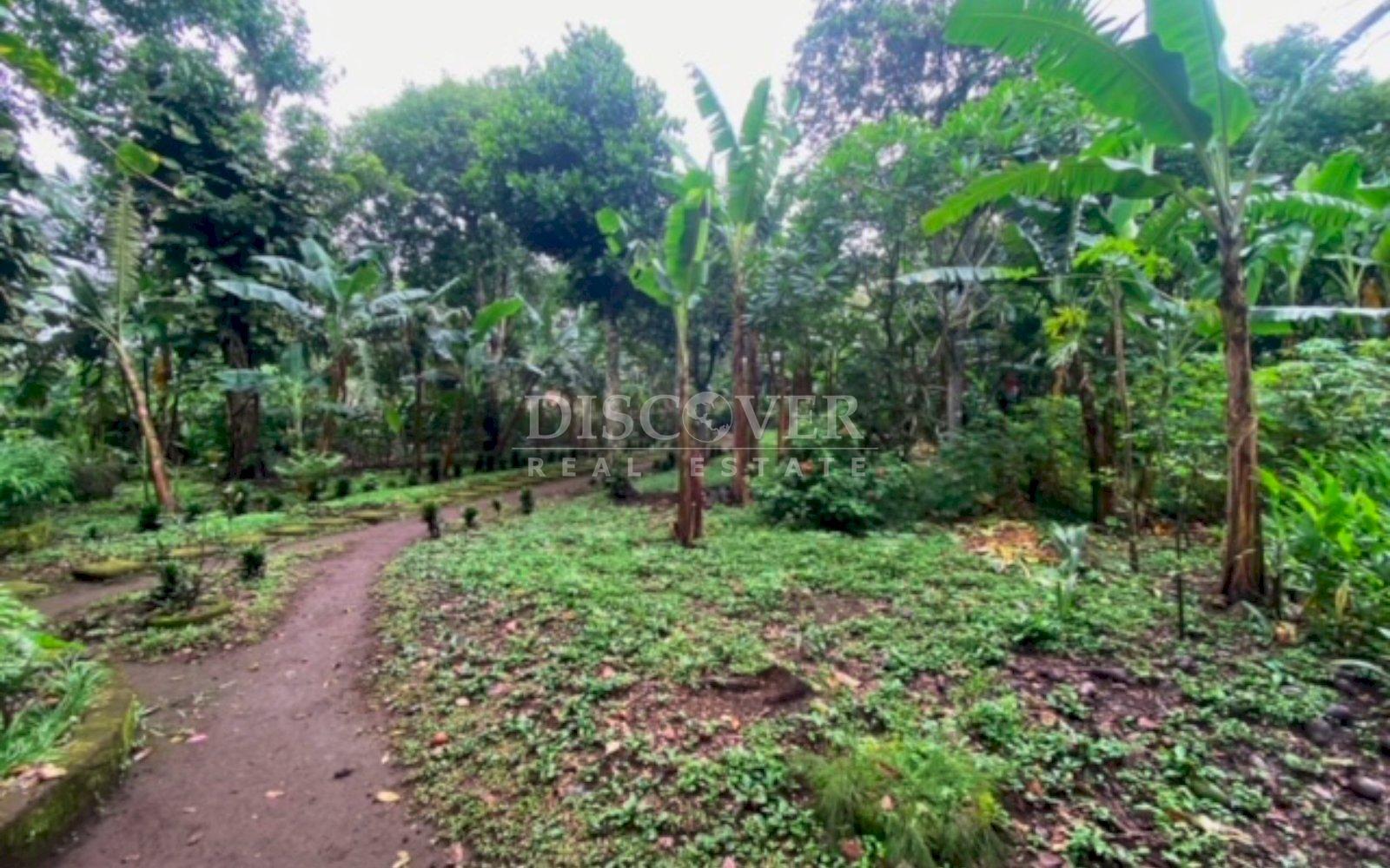 https://images.discovernica.com/propiedad/1600/13044_WEB_5.jpg