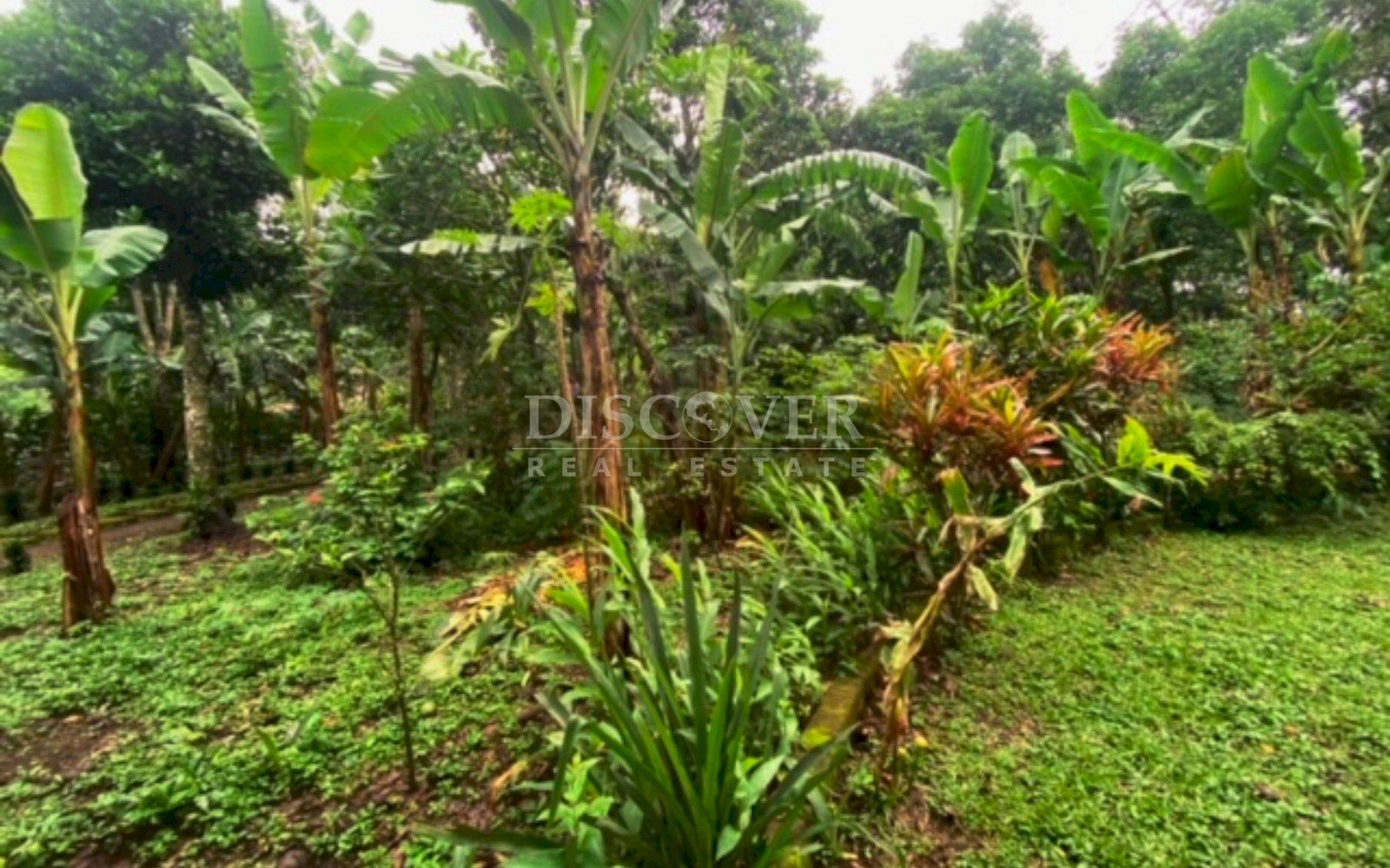 https://images.discovernica.com/propiedad/1600/13044_WEB_6.jpg