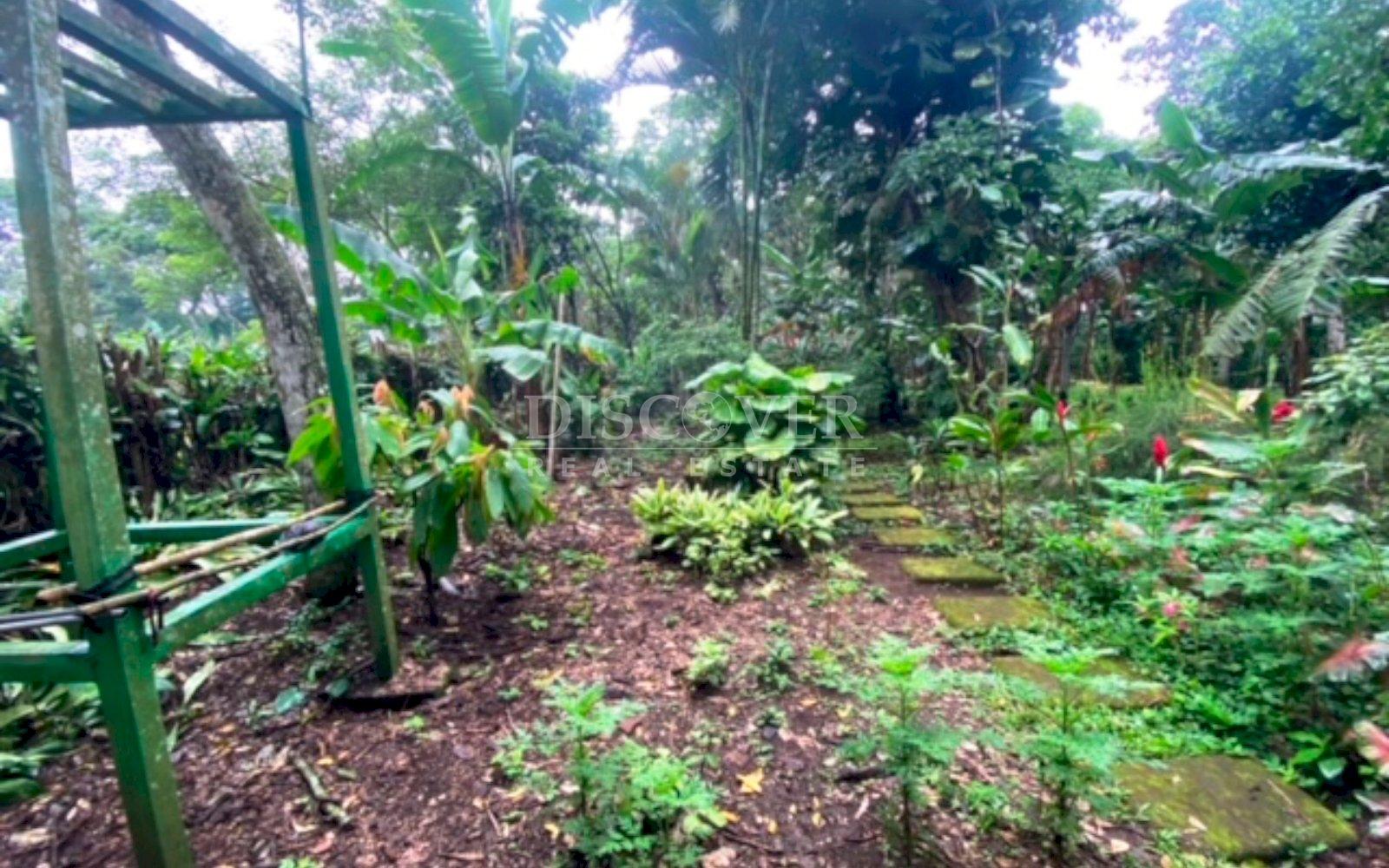 https://images.discovernica.com/propiedad/1600/13044_WEB_9.jpg