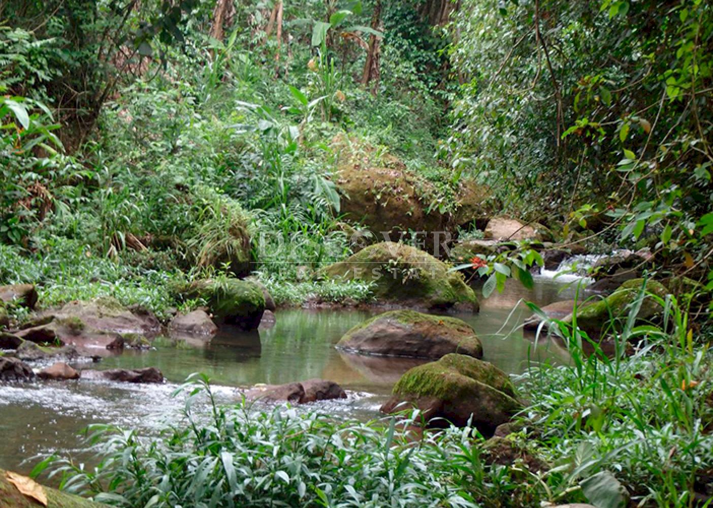 Coffee farm for sale in Jinotega 