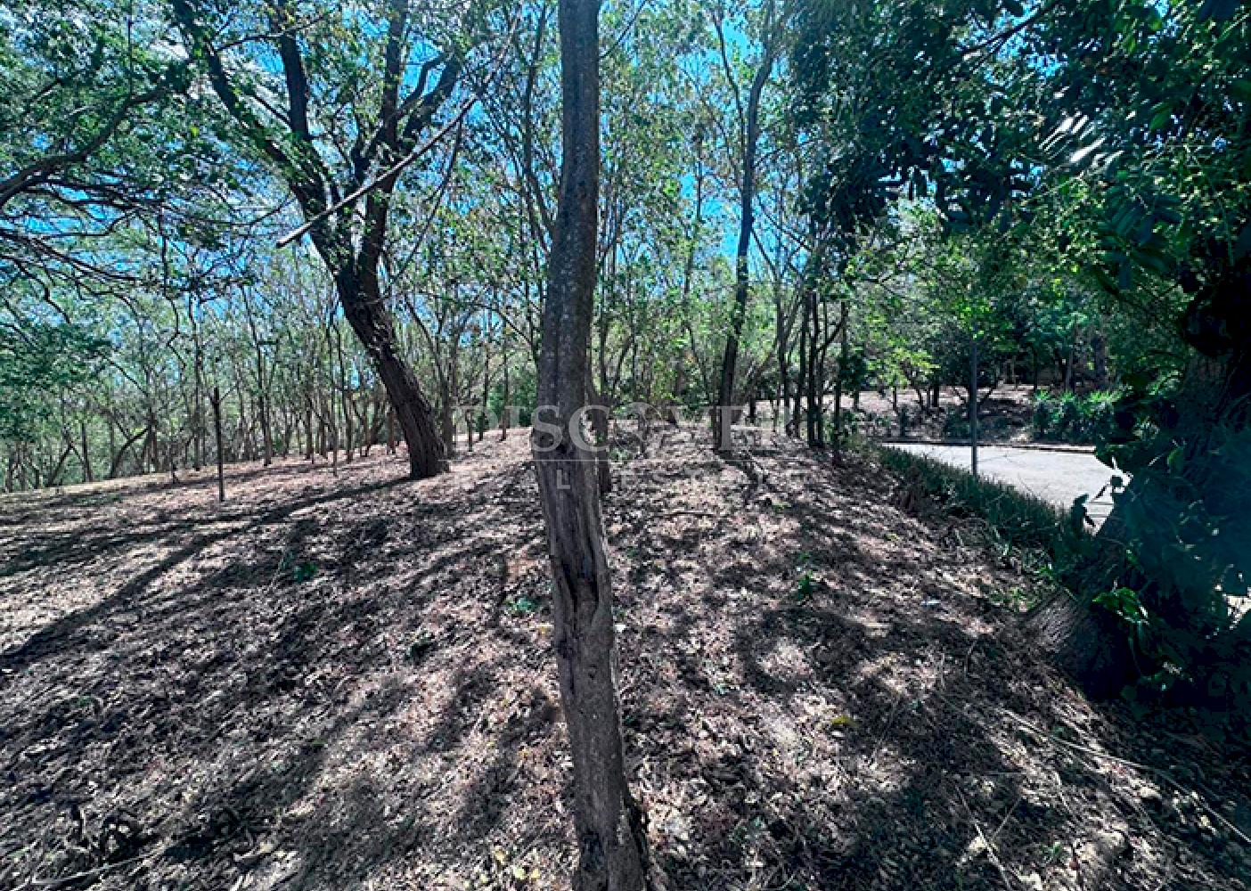 Land for sale in the Andes