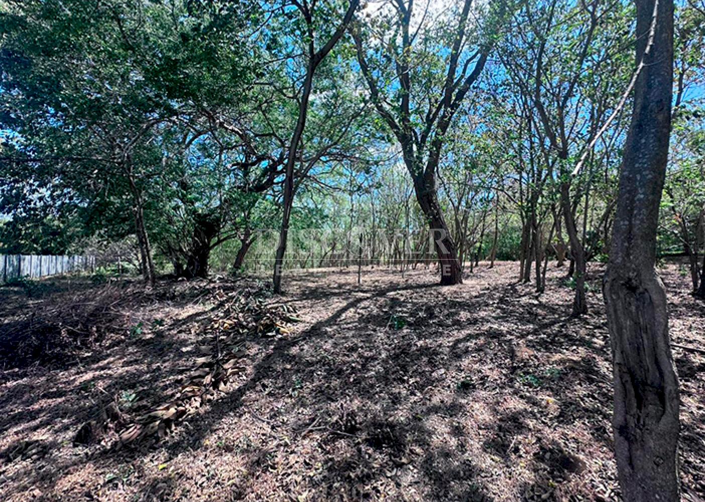 Land for sale in the Andes