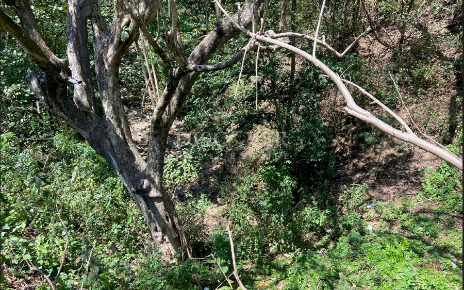  Property of 25 Mz for sale in San Juan del Sur.