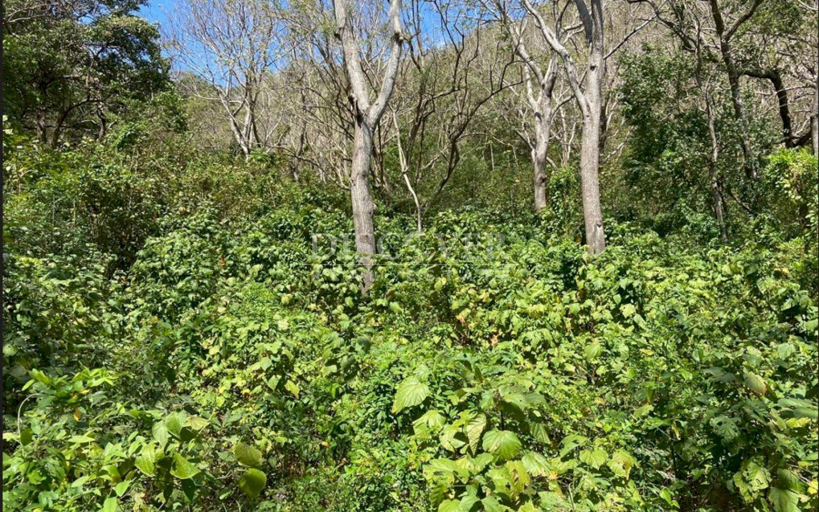  Property of 25 Mz for sale in San Juan del Sur.