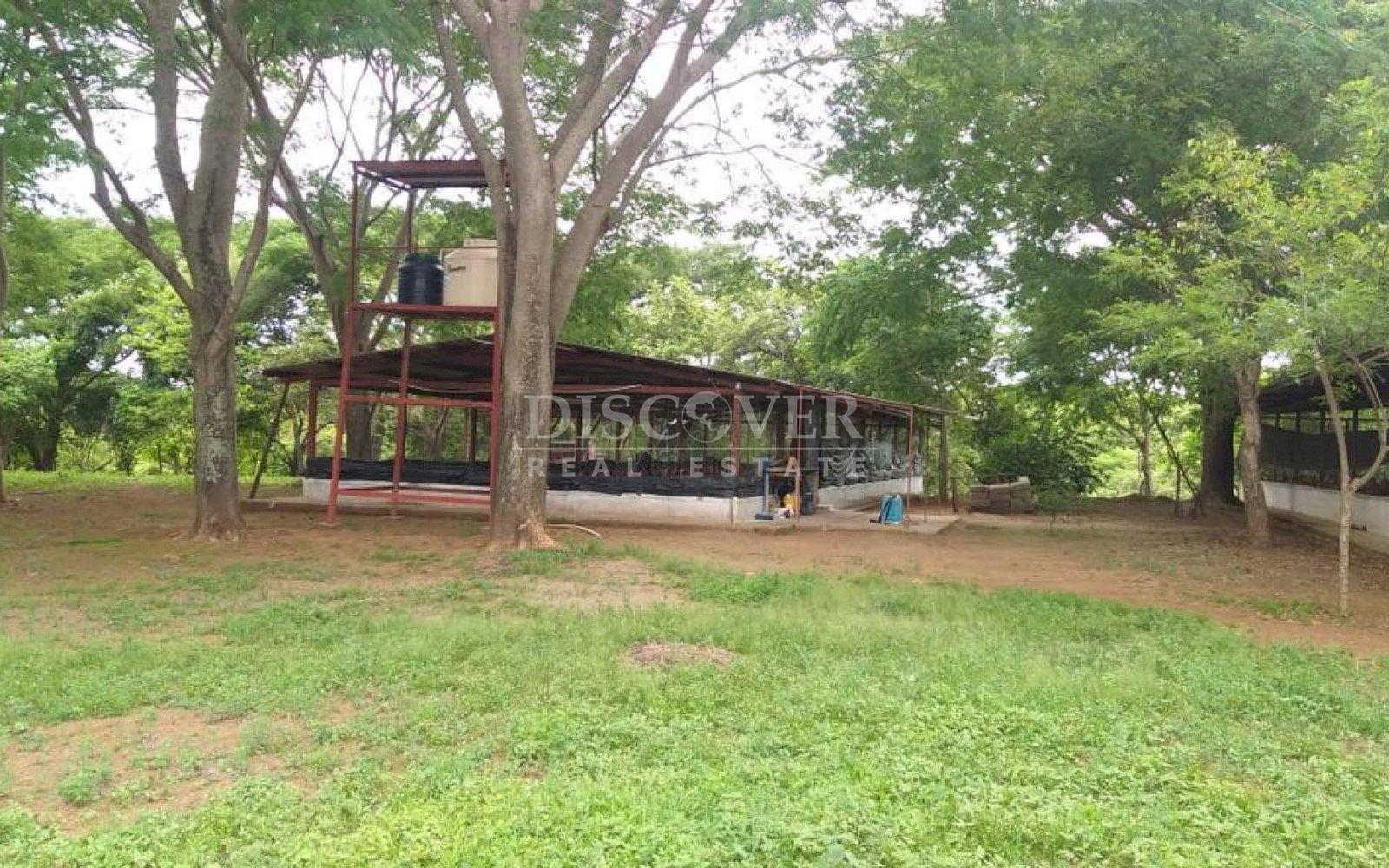  Property for sale in Carazo suitable for poultry.