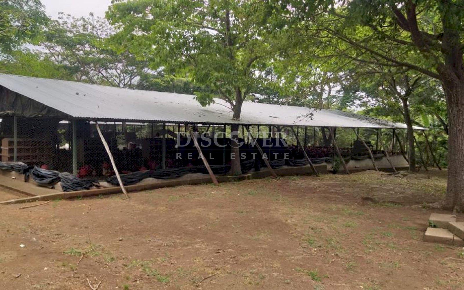  Property for sale in Carazo suitable for poultry.