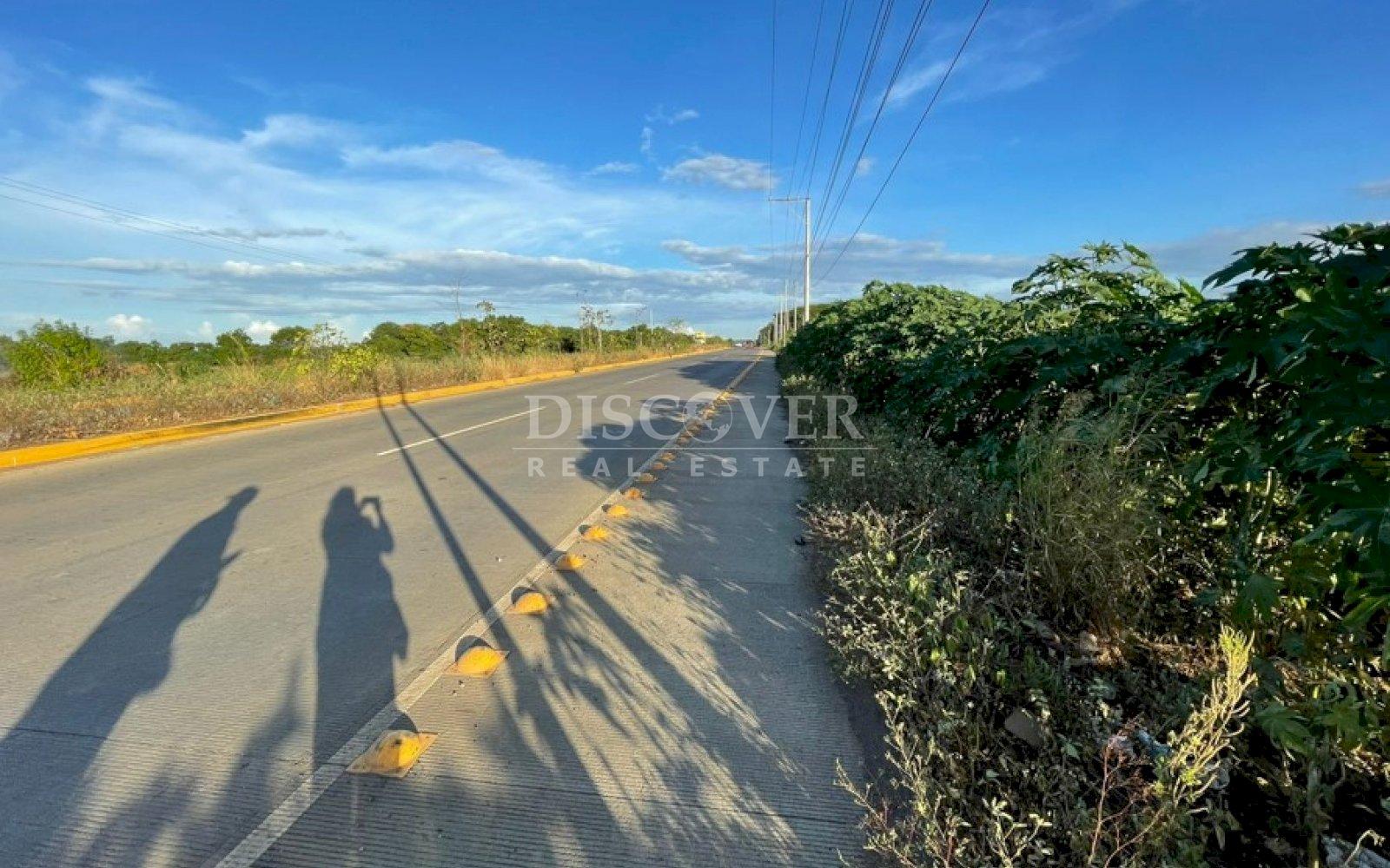 Imagen 4 de la galería