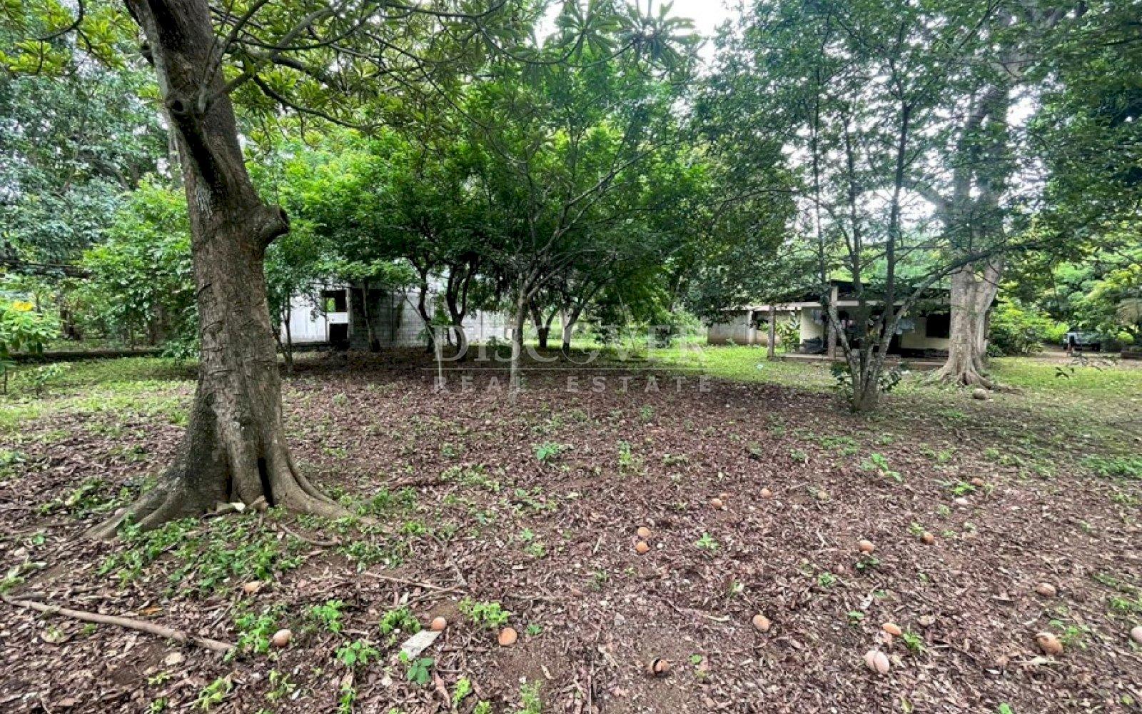 https://images.discovernica.com/propiedad/1600/133152.jpg