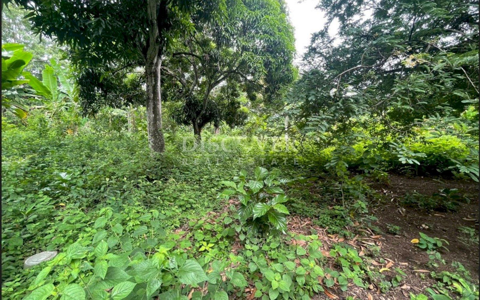 https://images.discovernica.com/propiedad/1600/133155.jpg