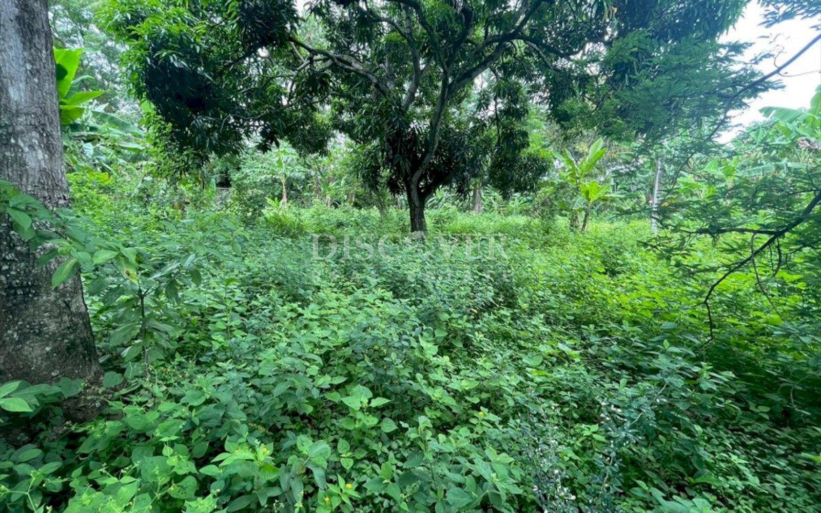 https://images.discovernica.com/propiedad/1600/133156.jpg