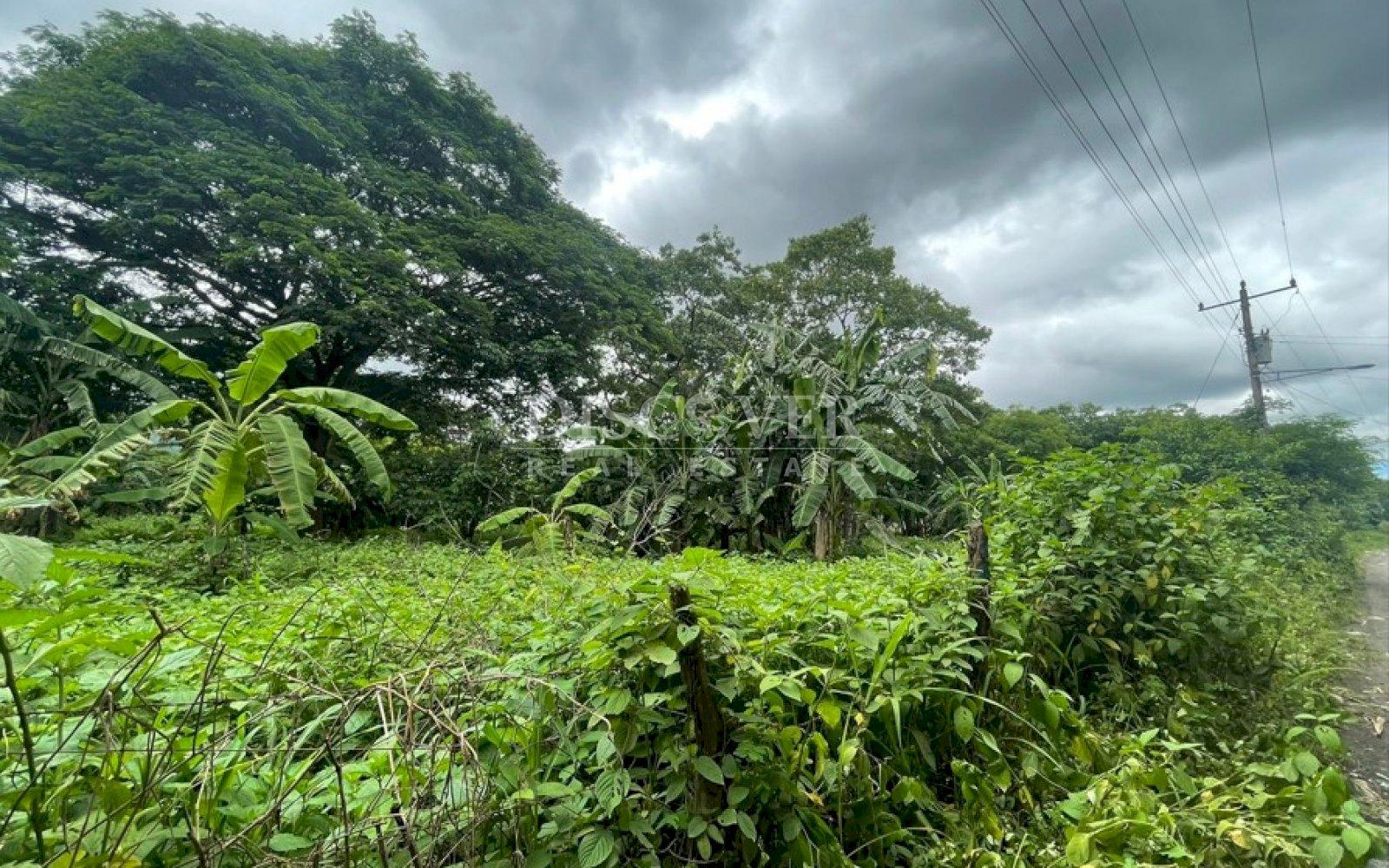 https://images.discovernica.com/propiedad/1600/133157.jpg
