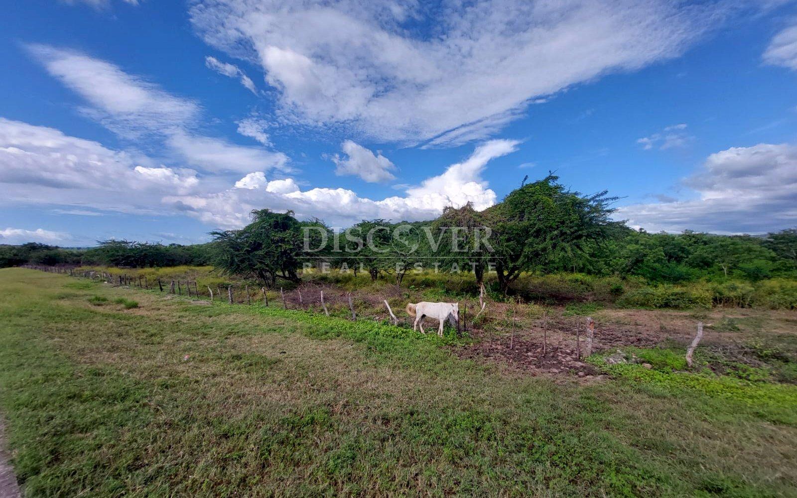  Livestock farm for sale on the old road to León, Nagarote.